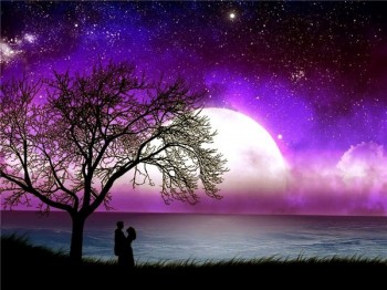 ДАРУНКИ  НОЧІ