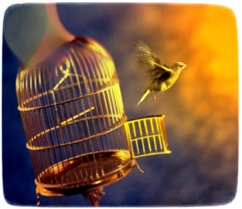 ЛЮБОВІ КЛІТКА