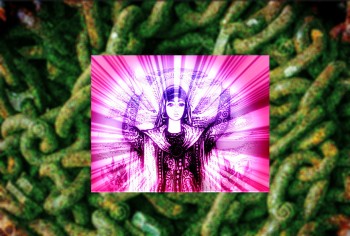 Смугасті конвої