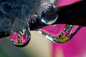 Пробудження Всесвіту