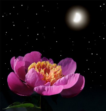 Весни повівом...