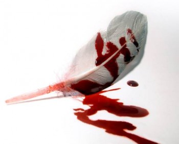 Майже за Фрейдом