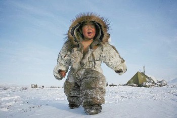 Погонич блакитного кита