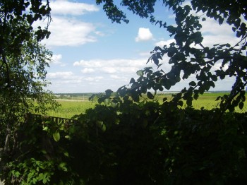 А давай пригадаєм дідусю...