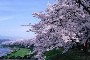 Відгукнись