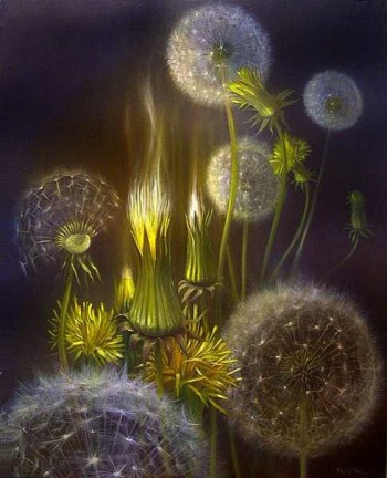 Кульбабовий дивосвіт