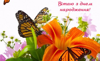 Пані Оксамит