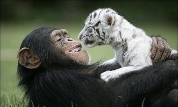 Привіт, малюк! Люблю безмежно