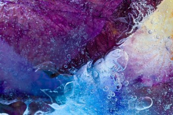 Ліловий мед