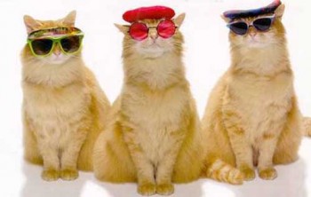 Барвисті мрії