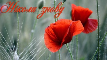 Ніколи більше