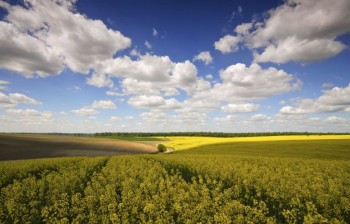 На адресу Суворому