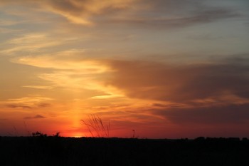 Над степом...