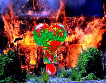 Добровольці