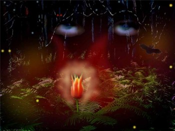 Диво купальської ночі