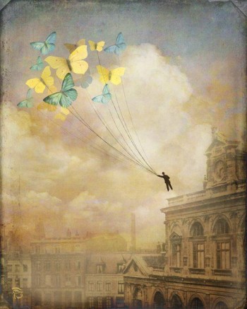 Західному вітру