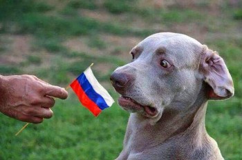 Я не знаю, що то́ за гидота