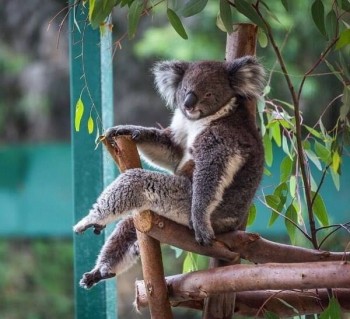 Позувати – це теж мистецтво