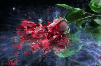 ...безіменне...