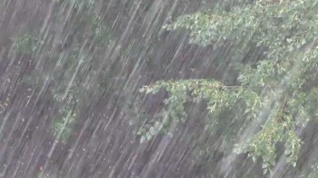 А хочеться… повірите? ДОЩІВ!!!