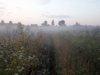 Передчуття осені