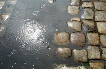 Новий день у Львові