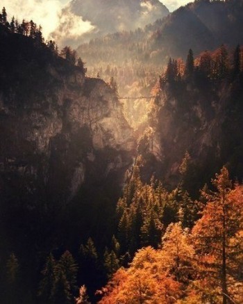 Полохливі думки