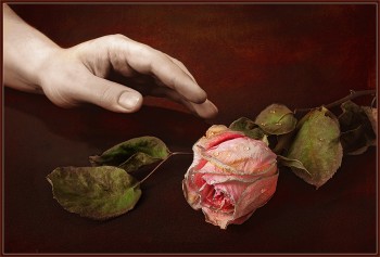 Життя-квітка