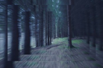 Я,  мамо,  як і Ви вже: сива-сива…