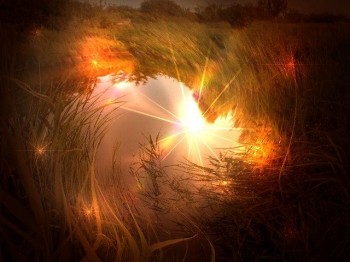 Відлуння сонного сонця