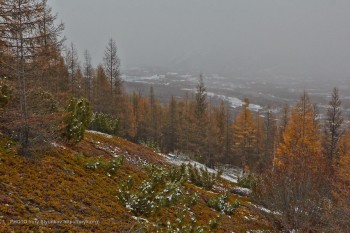 Колимська осінь