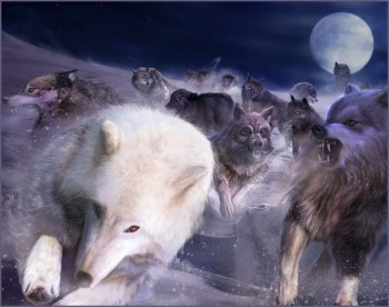 Нічна пісня