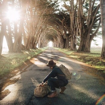 ЗАШМОРГИ ВСЕВЛАДНОГО КОНТРОЛЮ