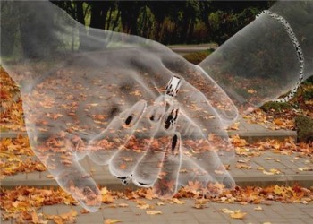 Чар-осені листопад