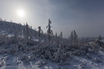 Сподівання весни