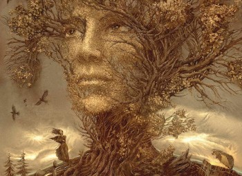 Як так сталося,  сизокрилі?