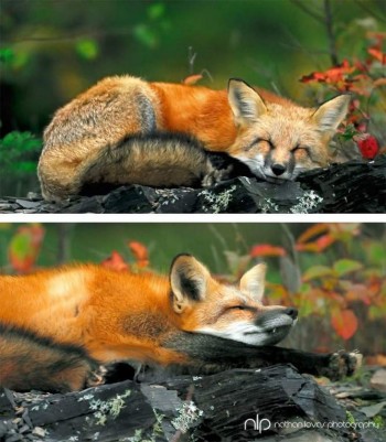 Осінь – пора чудес...