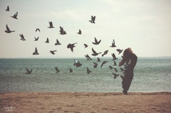 Я не кохаю...