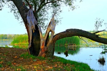 Самотність і старість