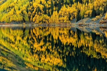 &laquo;Прив`яли ягоди осінні...&raquo;