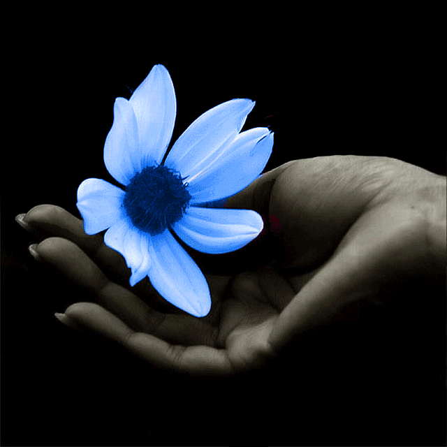 Дивовижне Кохання було