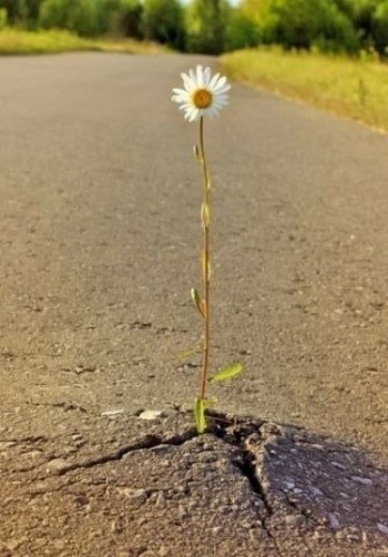 Сильною будь!