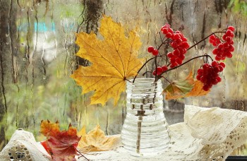 Політ фантазії