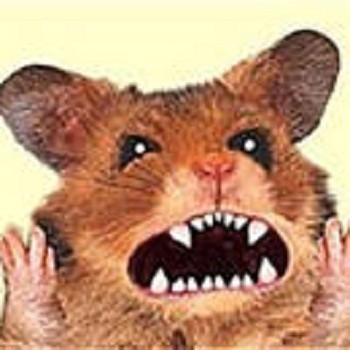 Страшна зброя