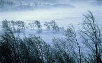 Я писав про що попало...