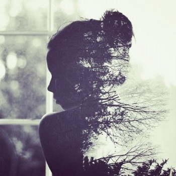 В імлі стежок досвітніх