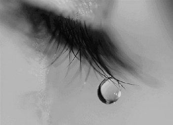 Не розквітло жасмином кохання…