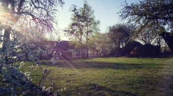 Одна сторінка з весняного зошиту