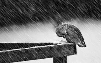 Думки про тебе