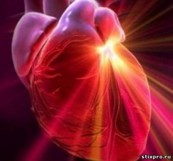 Тебе я чую,  серце